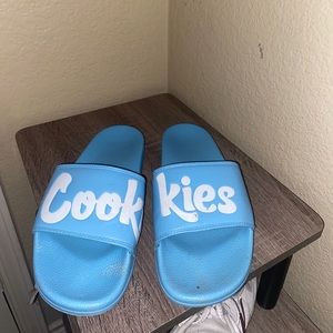 Slides